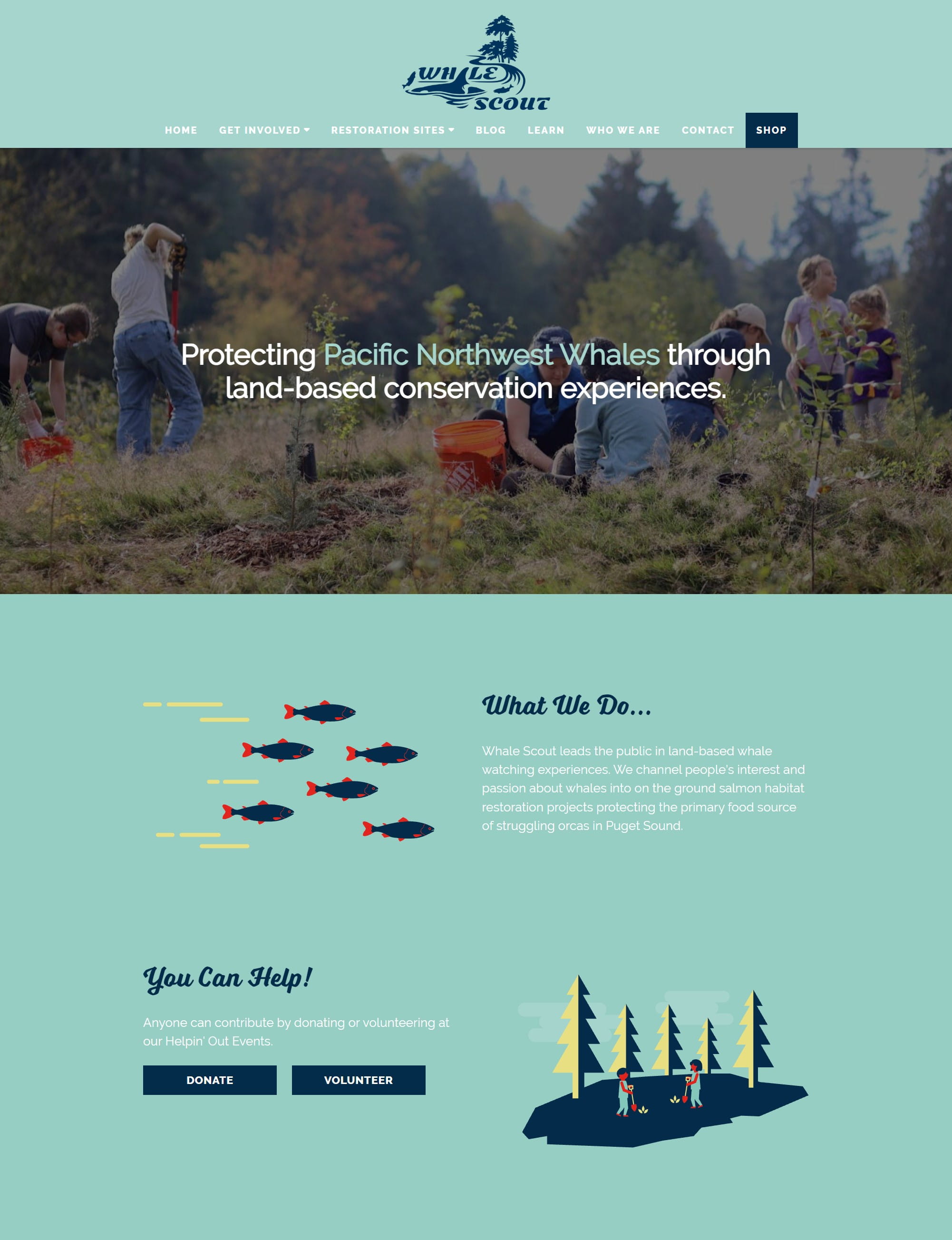 Whale Scout website